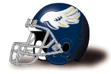 Rice University Helmet