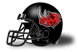 Grand Rapids Rampage Helmet